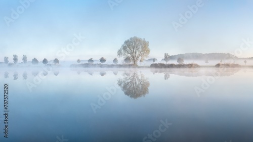 Still lake with morning mist in the soft morning light, a tree stands on the shore, landscape is reflected in the water, Thuringia, Germany, Europe photo