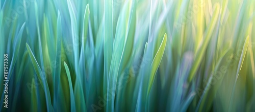 Macro photograph of vibrant new spring grass.