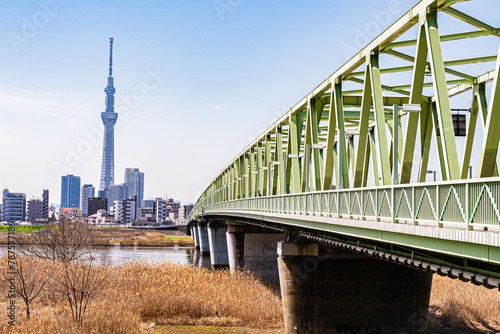 東京スカイツリーの春の風景 photo