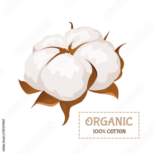 Dried fluffy cotton flower with label isolated on white background.
