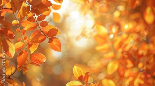 Warm autumn leaves with glowing sunlight
