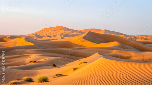 Rippling sand dunes in the desert at sunrise  side lighting to emphasize the textures and curves of the dunes