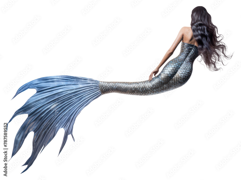 Obraz premium PNG Beautiful mermaid swimming animal adult