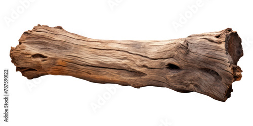 PNG  Bark tree driftwood log white background. 