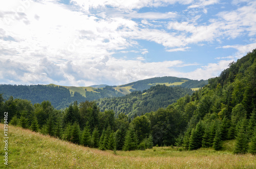 Beautiful summer landscape with rolling hills adorned with grassy meadows and lush green forests stretch under a partly cloudy sky. Carpathian Mountains  Ukraine 