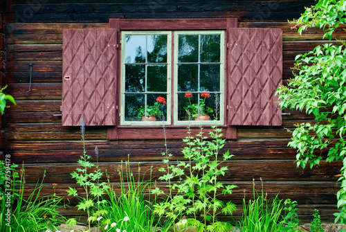 Garden with plants in front of an old brown log house with a beautyful window with red geranium plants indoors and brown carved wooden shutters. 