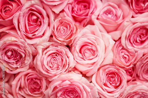 Bouquet of pink roses  flowers close-up background