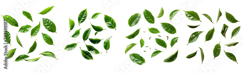photography, top-down view, natural lighting, green tea leaves, fresh, white background  © Bi
