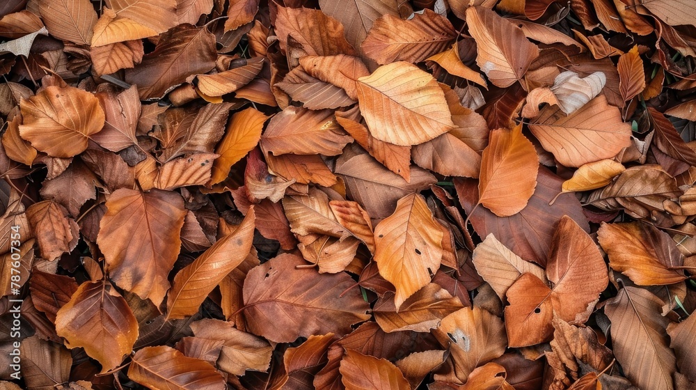 Dead leaves turning slightly brown in a pile typically signify a natural decomposition process