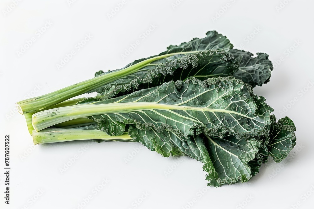 Newly picked kale cabbage stalks on white backdrop Newly picked kale cabbage stalks on white backdrop