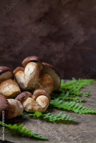 Imleria Badia or Boletus badius mushrooms commonly known as the bay bolete on vintage wooden background..