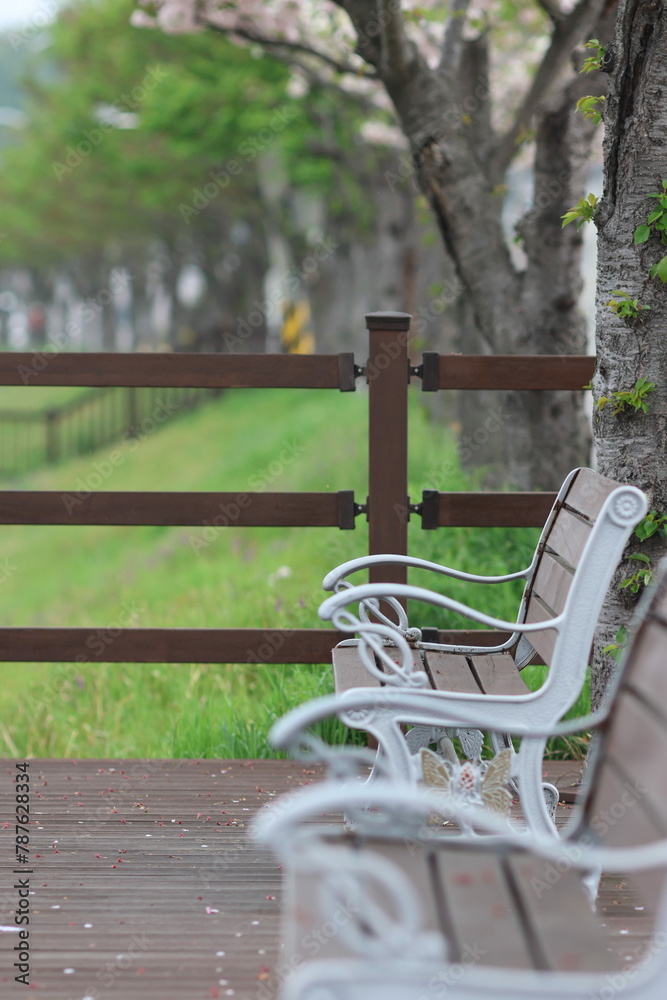 a place to sit in the garden behind my house in south korea a place to sit in the garden behind my house in south korea