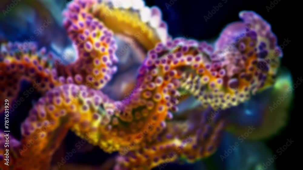 A closeup of a trypanosome with its distinctive undulating membrane and flagellum showcasing its unique adaptations for movement and . AI generation. A closeup of a trypanosome with its distinctive undulating membrane and flagellum showcasing its unique adaptations for movement and . AI generation.