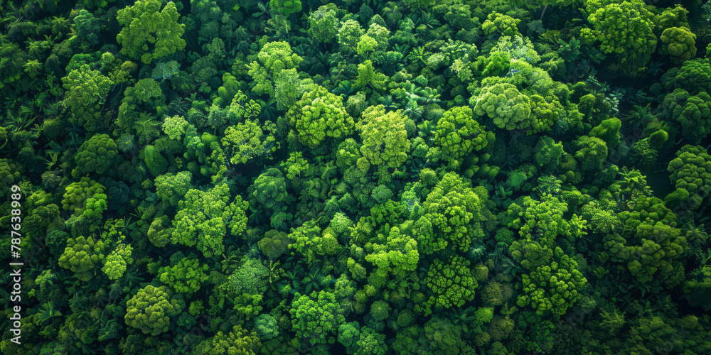 An aerial view of the green forest is portrayed in a style that merges dark emerald, dark indigo and emerald tones, scattered composition, and dark green elements.