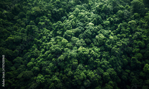 An aerial view of a green rainforest forest in a style that merges minimalist photography, luminescent color scheme, organic material, and dark green elements.