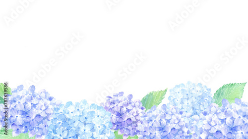 水彩で描いたアジサイの背景