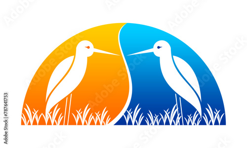 Two pied stilt birds in evening and night sky illustration design vector