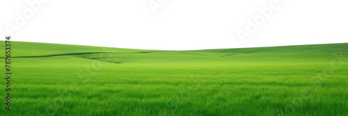 PNG Green field with blue sky grassland landscape outdoors. photo