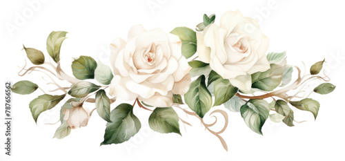 White roses graphics flower plant.
