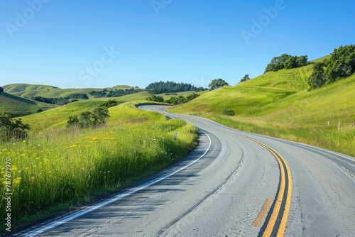 Winding country road with green hills and wildflowers