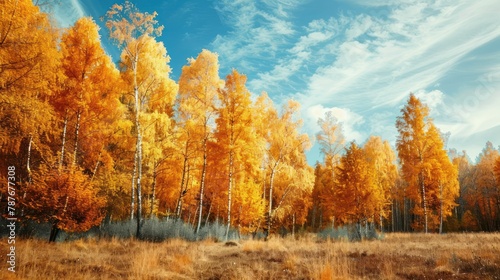 Beautiful autumn forest golden foliage of the trees against bright blue sky background. AI generated