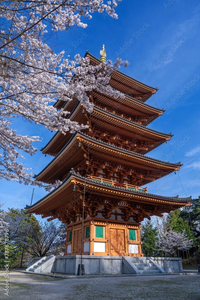 青空バックに見上げる満開の桜と五重塔のコラボ情景 青空バックに見上げる満開の桜と五重塔のコラボ情景