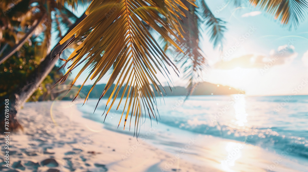 Fototapeta premium Golden sunset beach view with palm silhouette for relaxing travel banner designs