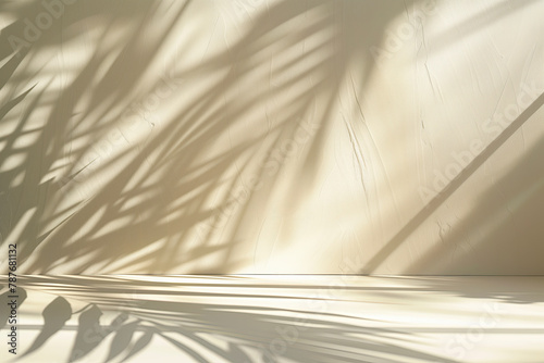 background with shadown photo