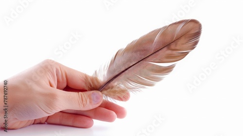 Hand holding feather for cat toy isolated on a white background photo