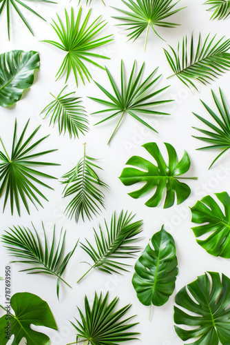 A close up of many green leaves  including palm leaves and ferns