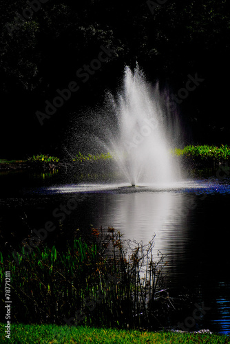 A Florida fountain and pond at night