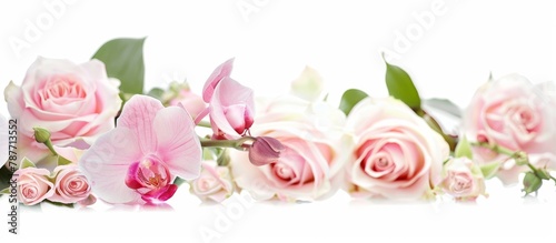 Numerous vibrant pink roses and delicate orchids displayed against a clean white background, creating a beautiful floral arrangement photo