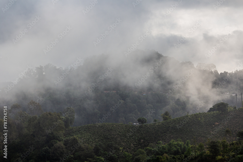 Misty morning landscape near Phongsali, Laos
