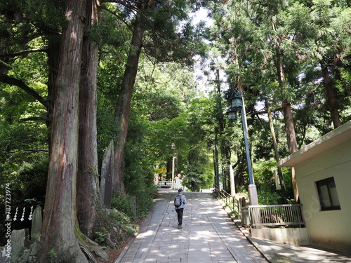高尾山