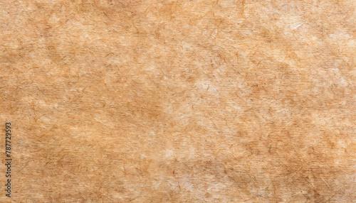 Old papyrus texture with detailed fiber patterns, perfect for backgrounds and overlays.