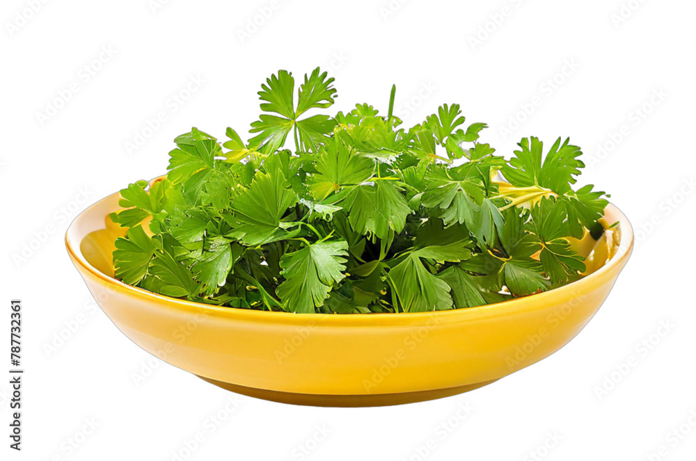 bowl of coriander