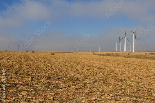 harvested corn field with stover bales photo