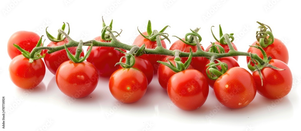 Cherry tomatoes. Vine-ripened cherry tomatoes. Cherry tomatoes. Vine-ripened cherry tomatoes.