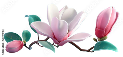 PNG 3d Magnolia magnolia blossom flower.
