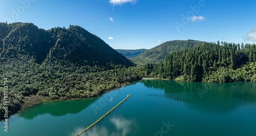 Calm water and forest in of the Blue Lake, Rotorua, Bay of Plenty, New Zealand.