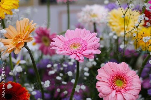 Beautiful flower bouquet  Flower background.