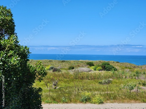 view of the coast of the river