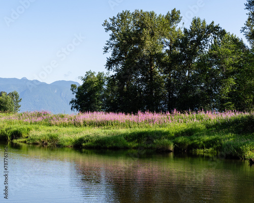 Summer nature view small pond green landscape with cloudy sky