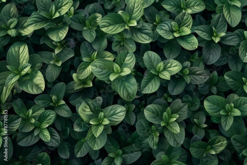 Dense foliage of green plants creating a vibrant natural pattern and texture. © Good AI