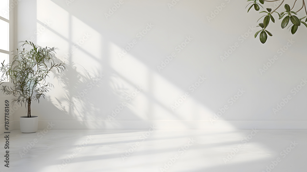 Minimalist photography background Minimalist photography background