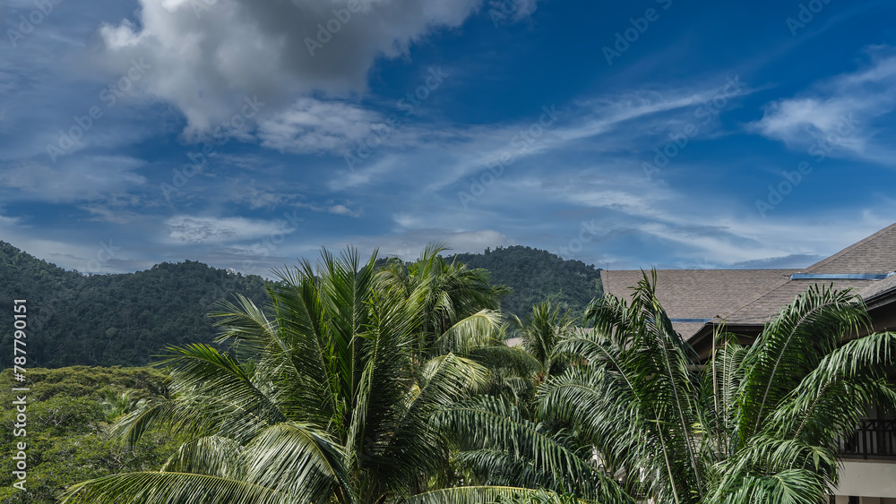 A tropical landscape. Sprawling crowns of palm trees, lush green vegetation on the hills against a blue sky and clouds. The roof of the building is surrounded by greenery. Malaysia. Borneo. 