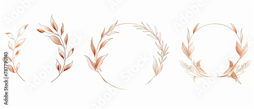 a three different types of leaves and a flower on a white background © Masum