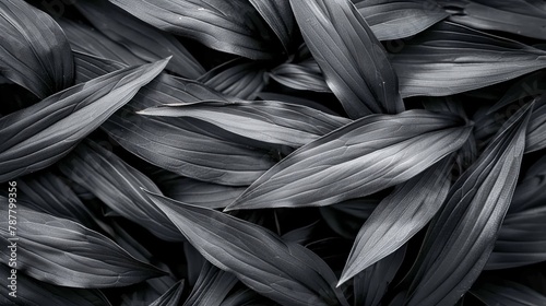   A monochrome image of assorted leaves against a uniformly black-and-white background