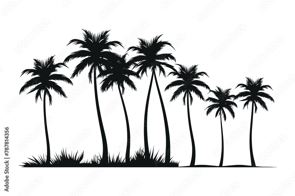 Palm Tree black shilhutti on whait background Palm Tree black shilhutti on whait background