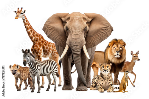 African wildlife png, animal remix, transparent background photo